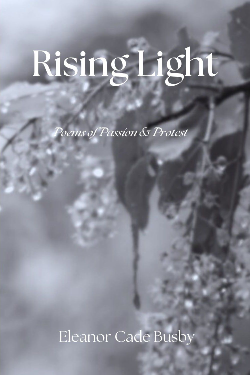 Rising Light: Poems of Protest & Passion